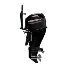 Mercury 50hp EFI Outboard