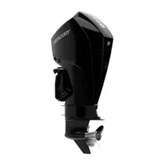 Mercury 200hp DTS Outboard